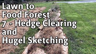 Lawn Into Food Forest - 7 - Hedge Clearing and Hugel Sketching