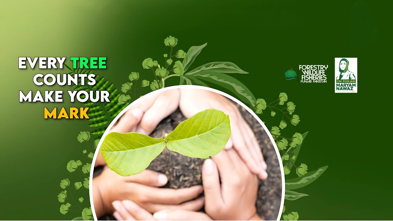 Plant a Tree, Every Tree Counts for a Sustainable Future | FWF ...