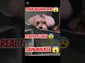 es ladki ka dog skin walker hai 😱#shorts #horrorshorts #horrorstories