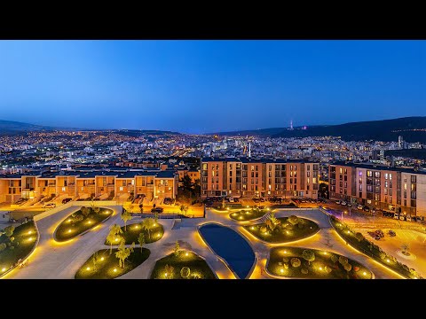 მწვანე უპირატესობა - ინტერვიუ ნოდარ ადეიშვილთან | Forbes კვირა