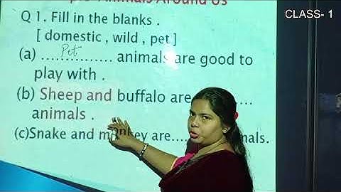 DAV SCHOOL TUTORIAL CLASS 1 EVS BY NEHA MISS