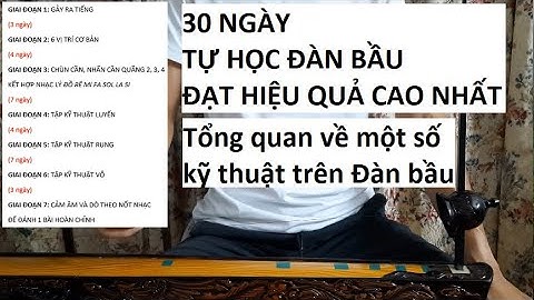 Tự học đàn bầu trong vòng 30 ngày II Kỹ thuật rung, luyến, vỗ