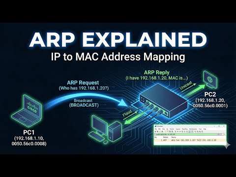 ARP Explained: How Networks Map IP to MAC Addresses (Step-by-Step)
