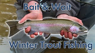 Shore Fishing for Winter Time Trout on Cape Cod by On The Water Media 3,454 views 3 months ago 12 minutes, 18 seconds