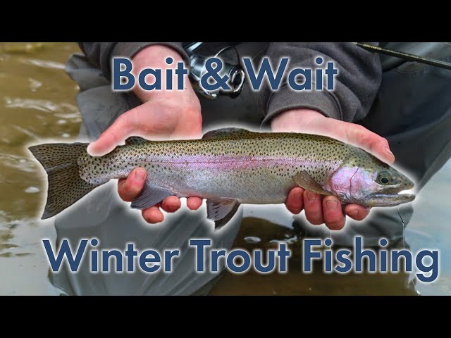 Open-Water Winter Trout - The Fisherman