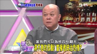 麗文正經話_20140425_214-4(TVBS DMDD)