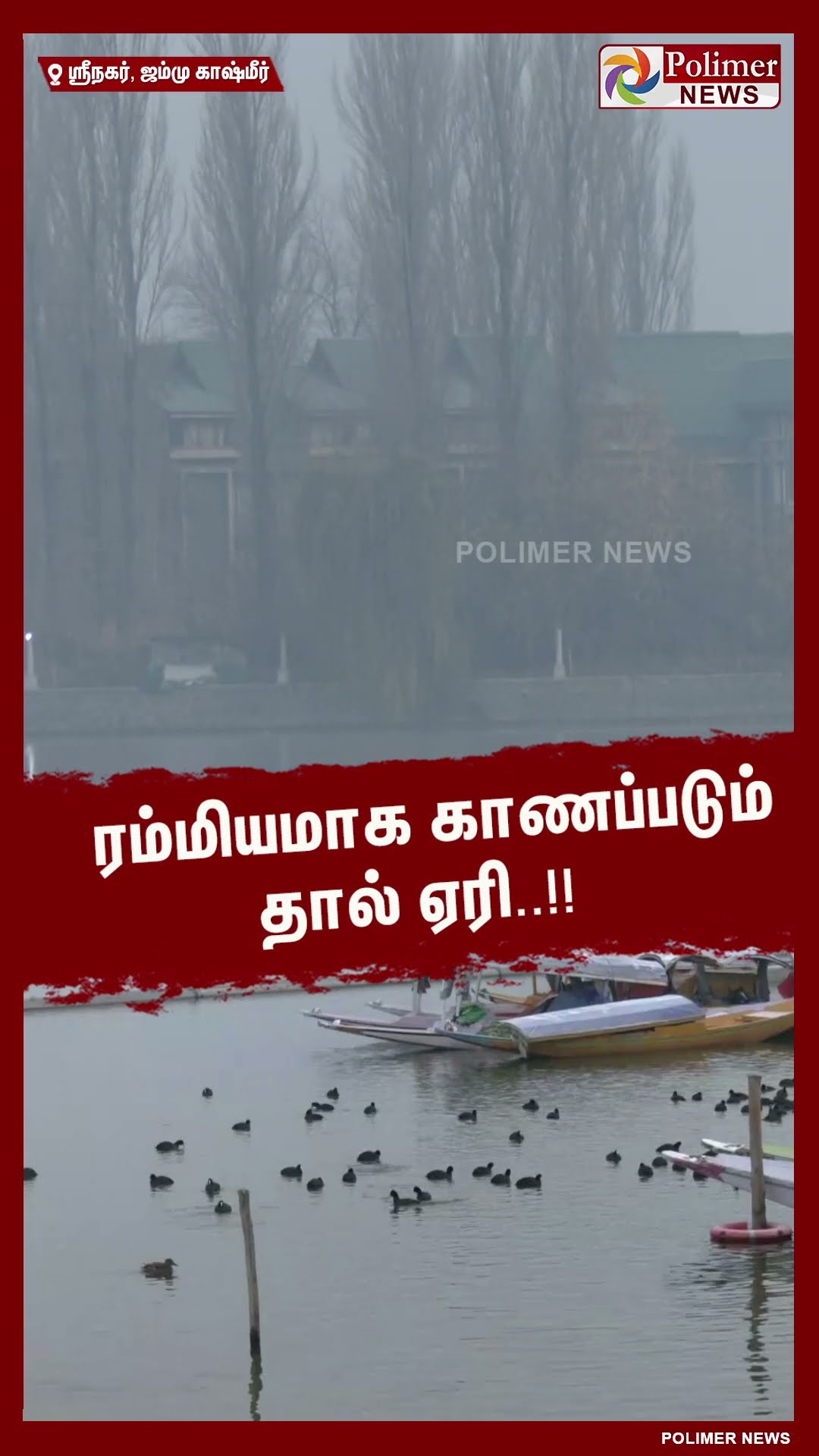 ரம்மியமாக காணப்படும் தால் ஏரி..#shorts