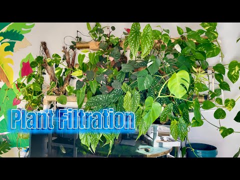 ..My jungle is going crazy!