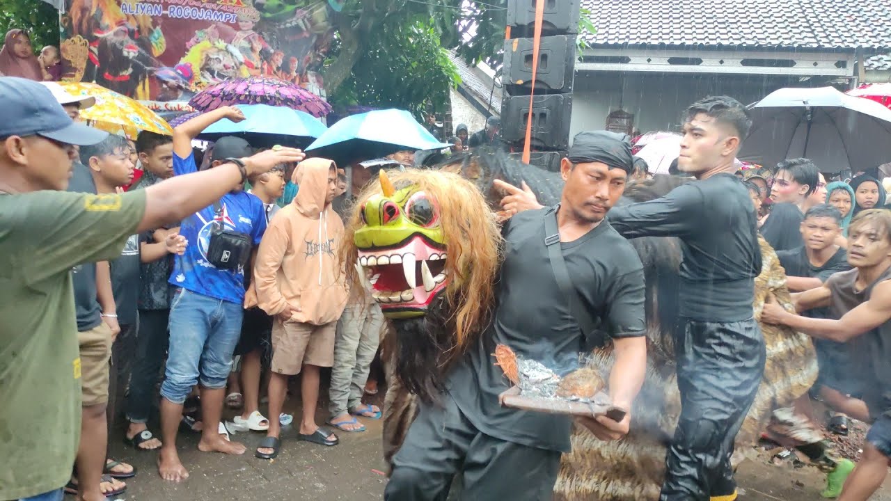 Macan Macanan Jaranan Syarif kembang Wongso kenongo JSKWK  live babakan