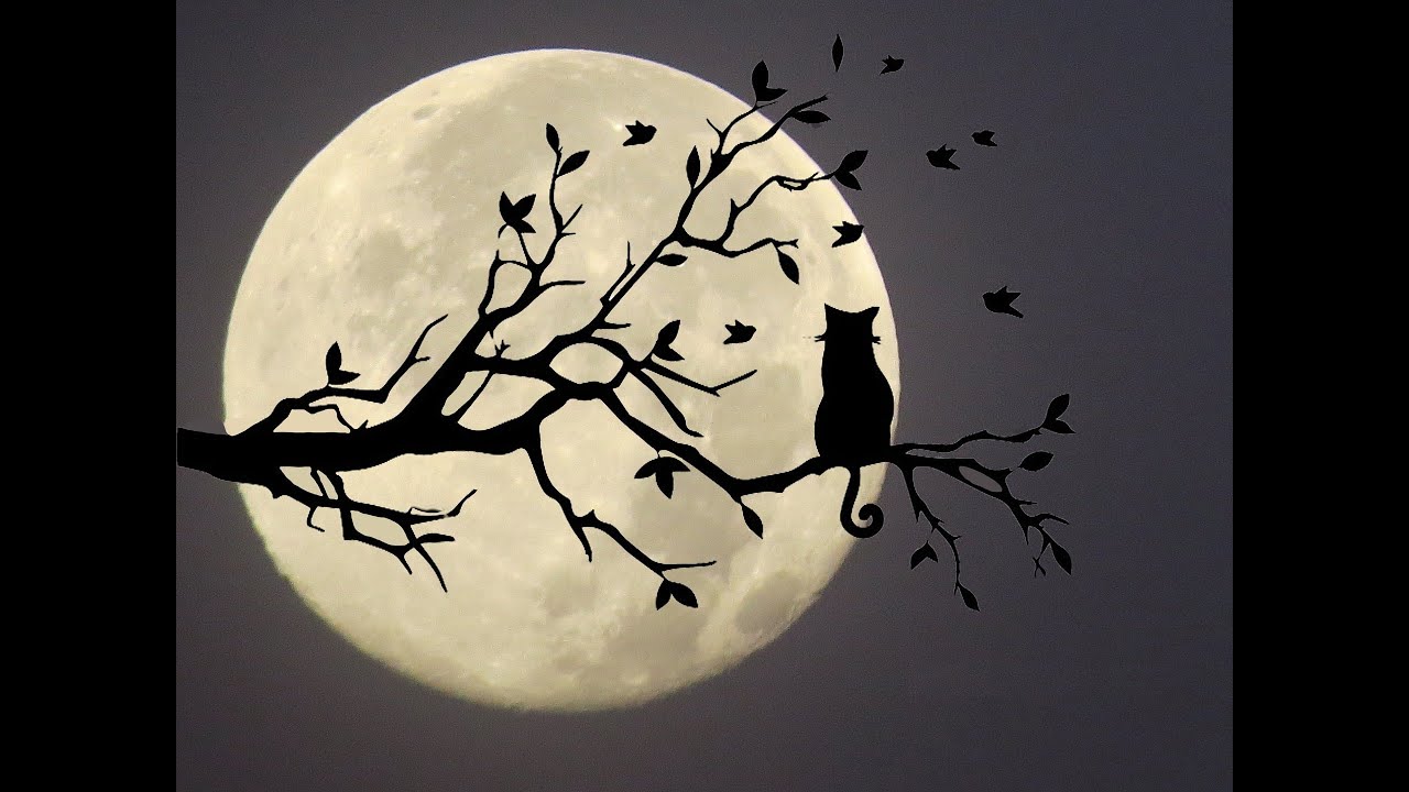 Lluna. Canço de bressol per ma mare YouTube Lluna. Canço de bressol per ma mare YouTube