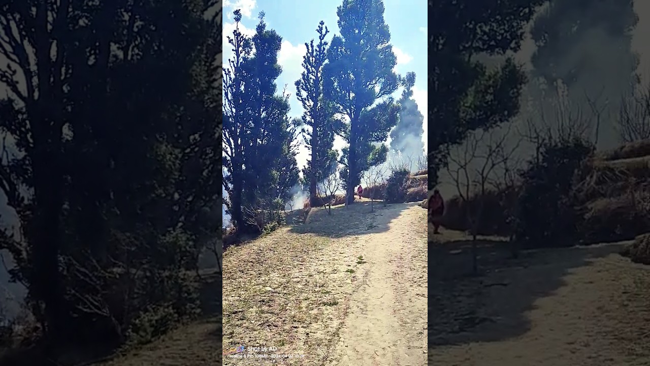 bharmour holi