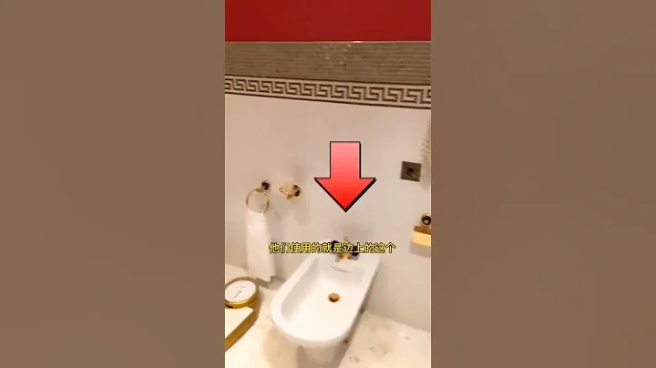 迪拜的洗手间居然不囤厕纸，刚去的时候我也是一脸懵，你们有没有遇到过这种情况#迪拜 - 天天要闻