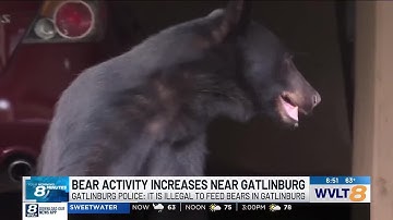 Catch Up Quick: Your headlines from 5/1 in 8 minutes or less