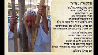 עדי רן קום