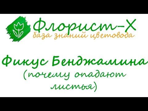 Как правильно ухаживать за кожей