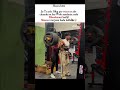 “No Pain No Gain 💀🔥 Insane Gym Transformation”#gym #workout