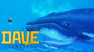 Деревня русалидов, маленький кит и рисовая ферма ☀ Dave the Diver Прохождение игры #8