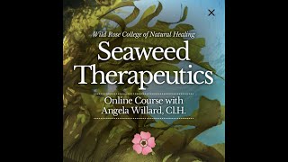 Seaweed Therapeutics - Online Course with Angela Willard Cl.H.