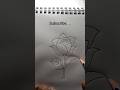 Rose Flower Drawing🌹Easy Rose Drawing#shots #art #howtodraw #tutorial