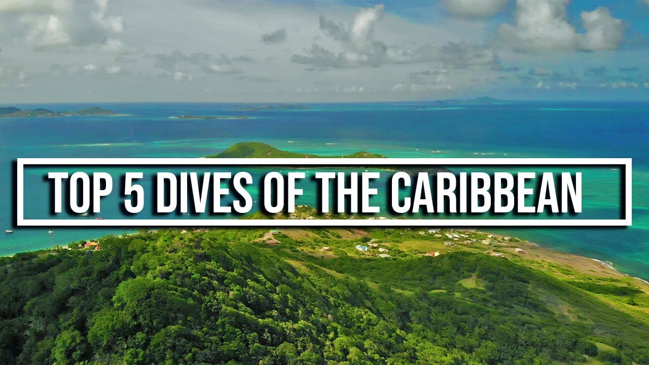 Top 5 Dives of the Caribbean – Sailing One Life