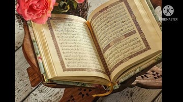 سوره البقره قصيره مده 15 دقيقه ماهر المعيقلي 💐