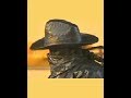 Bronze Cowboy spreading laughter UNCUT GOPRO  #5