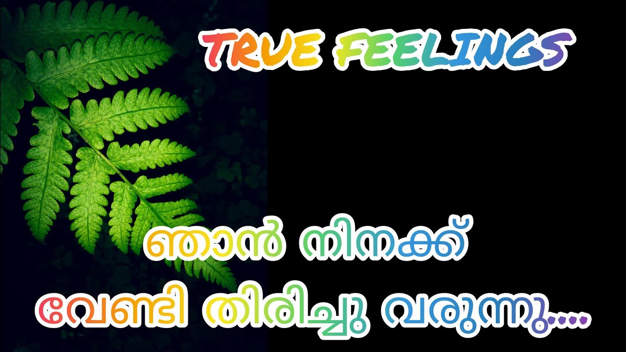 TRUE FEELINGS OF YOUR PARTNER 💖#love #malayalam  #tarotreading അവരുടെ ആഴമേറിയ വികാരങ്ങൾ.......