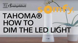 SPRINGBLINDS: SOMFY TaHoma® How To Dim the LED Light on the Device