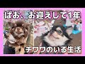 【チワワ】ぱおが家族になり1年経ちました🐶〜１年間の思い出〜