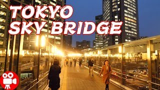 TOKYO SHIODOME TO YOURAKUCHO NIGHT WALKING - 4K 60FPS HDR