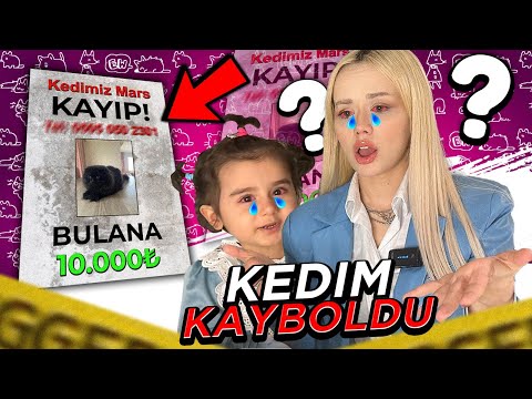 KEDİM KAYBOLDU ! / BULANA 10.000TL PARA ÖDÜLÜ !!