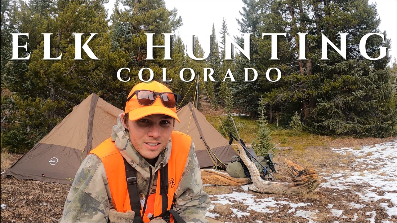 Самостоятельная охота на лося в дикой местности Колорадо | Охота на лося в 3-м сезоне