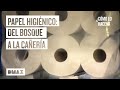 Así se hacen los 83 millones de rollos de papel higiénico para el consumo global | Cómo lo hacen