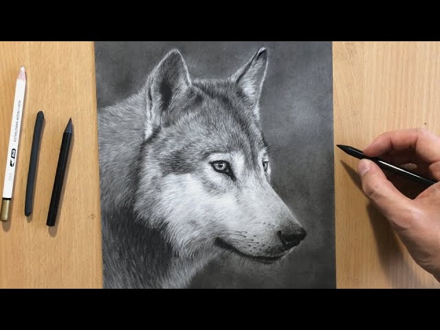 Discover more than 143 charcoal sketches animals latest