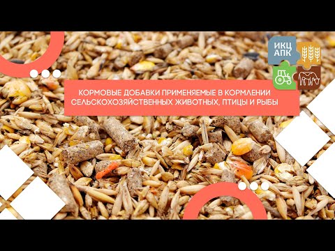 Запись семинара от