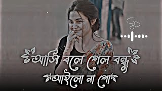 আসি বলে গেল বন্ধু | Asi bole gelo bondhu ailo na | Slowed reverb #lofi #trending #asibolegelobondhu