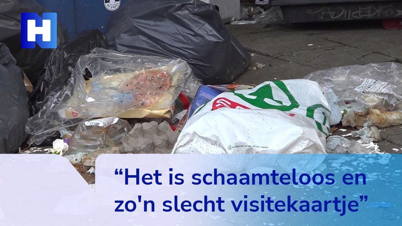 'Ratten zo groot als katten' in Amsterdamse Pijp door niet opgehaald ...