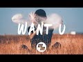 ARMNHMR - WANT U (Lyrics / Lyric Video) Ft. Lilianna Wilde, With ASHR