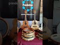 Pandeirar luthier gabriel troncoso