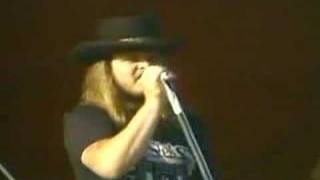 Sweet Home Alabama - Lynyrd Skynyrd Live