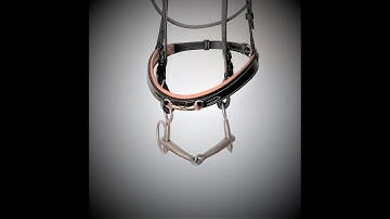 Baucher Bit: Function and Effekt