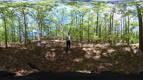 360 Video - Problems Regenerating Oak