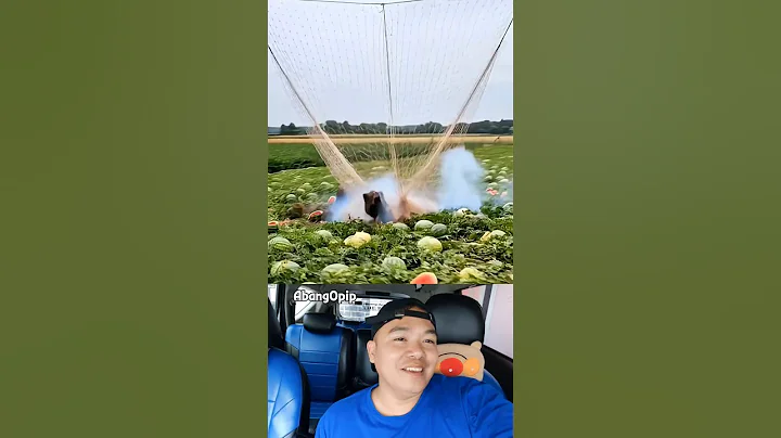 Drone to kill harmful wildboar #shorts #villagelife #smartfarming #rurallife #wildboarhunting