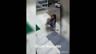 güzel duygular  #dostlik #duygusal #köpek #arkadaş #dünya