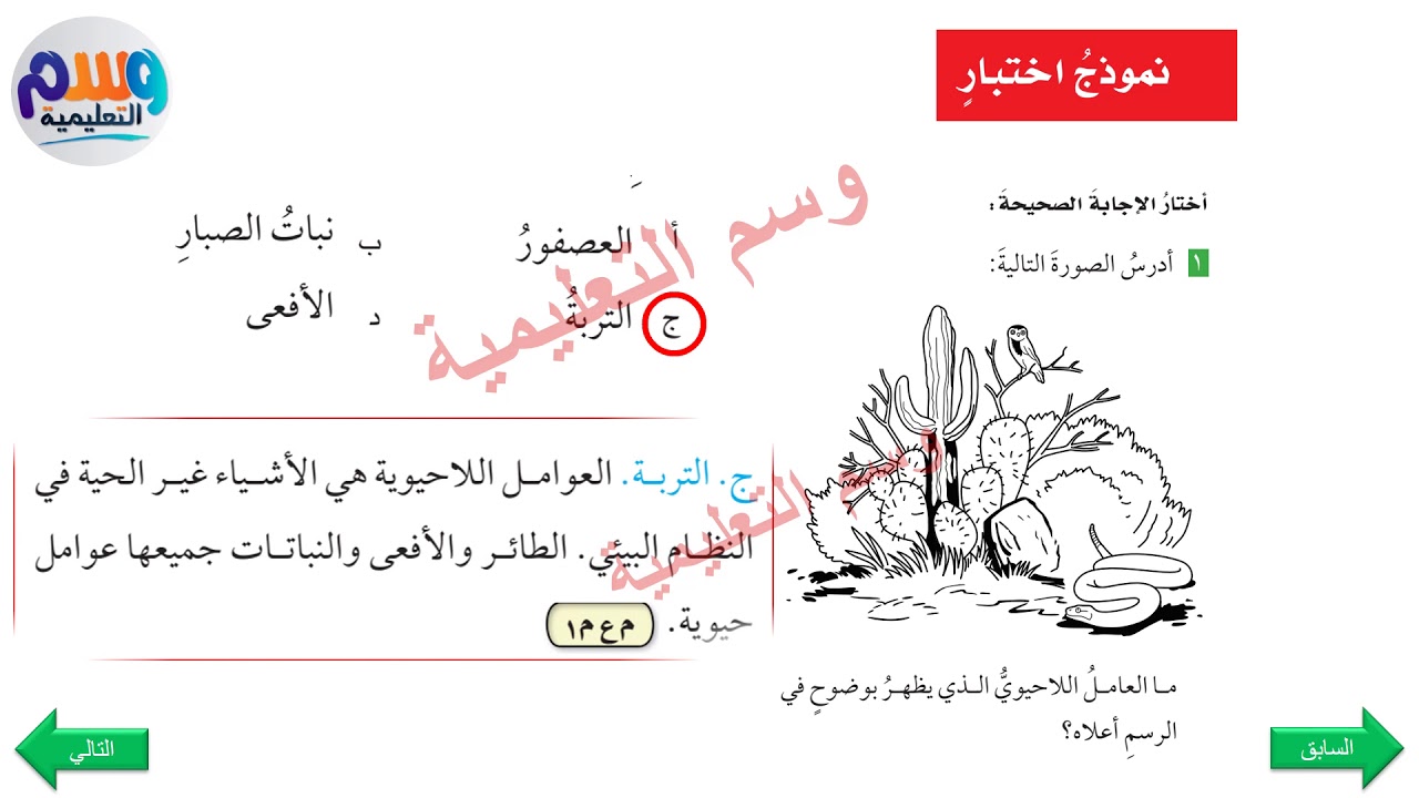 مراجعة ونموذج الاختبار الفصل3 5ب ف1 علوم Youtube