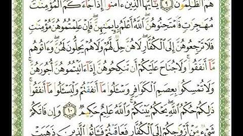 060 - سورة الممتحنة - ناصر القطامي