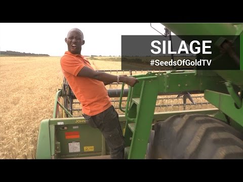 Silage - Seeds of Gold  -TV Season 2 Episode 5 | Kenya - 2016