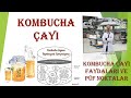 Kombucha Çayı ve Faydaları Nelerdir? Dikkat edilmesi gereken püf noktalar...