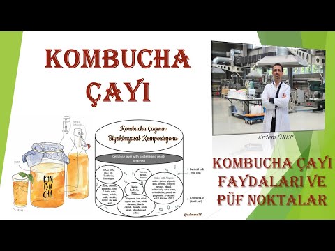 Video: Kombucha: Faydaları Və əks Göstərişləri