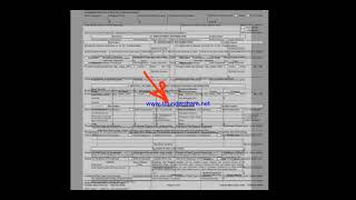 1003 Mortgage Application in three minutes